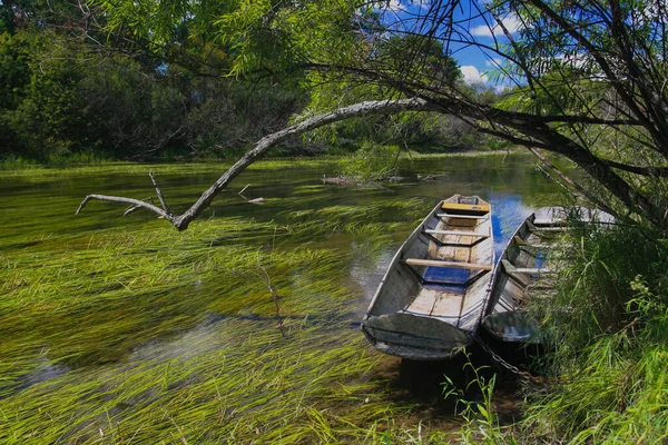 Старая Деревянная Лодка Берегу Широкой Реки Солнечный День Реке Водоросли — стоковое фото