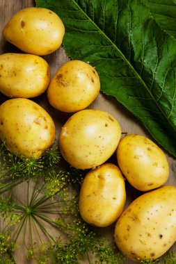 Patates, dereotu ve yaban turpu yaprağı, gri ahşap desenli arka planda taze sebzeler.