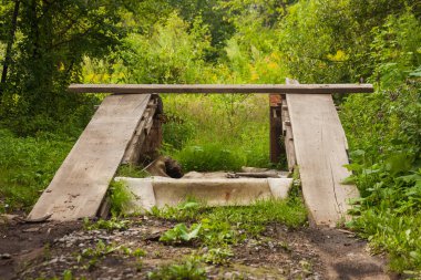 Ormanda araba tamiri için bir ahşap teftiş çukuru bulunmaktadır..