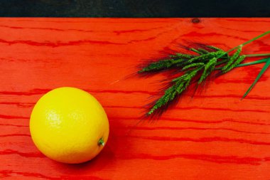 Kırmızı arka planda portakal meyvesi ve yeşil çimen.