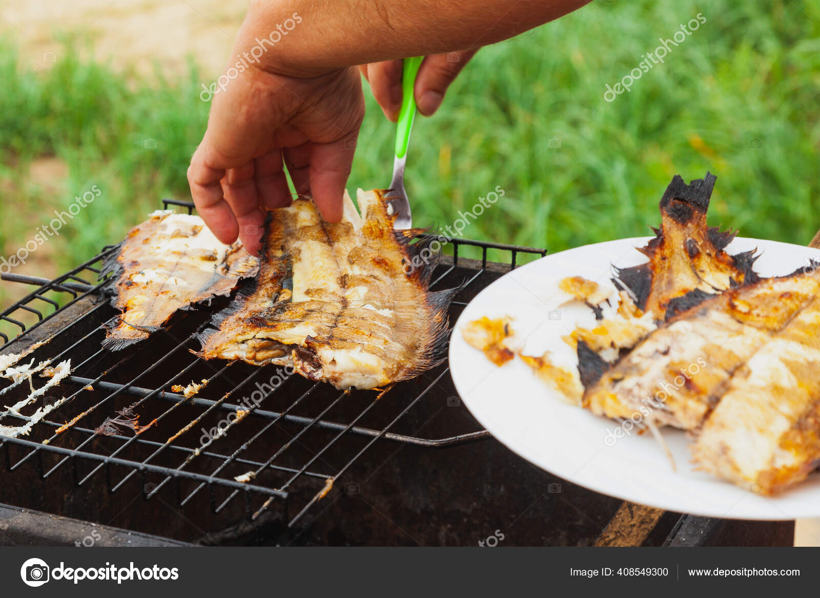 Fried Fish Flounder Portable Grill Cooking Beach Dinner Nature Stock Photo by