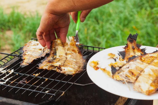 Smažený Rybí Platýs Přenosném Grilu Vaření Pláži Večeře Přírodě — Stock fotografie