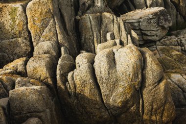 Sahildeki taşlar, denizin kıyıları..