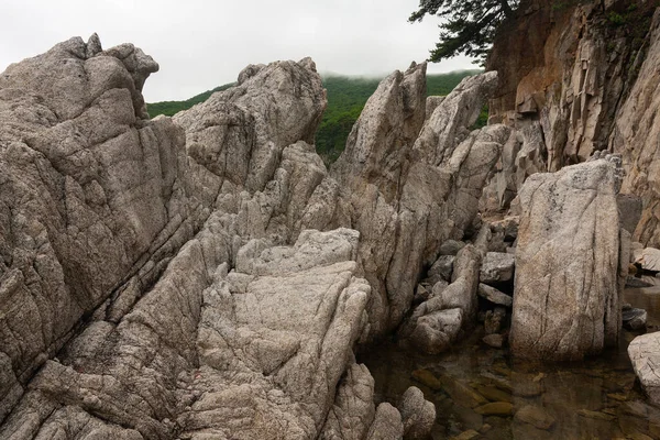 Kaya ve deniz, kayalık kıyı şeridi, Telyakovsky Körfezi Primorsky Krai, Rusya.