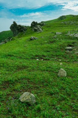 Tepenin tepesindeki kayalar.