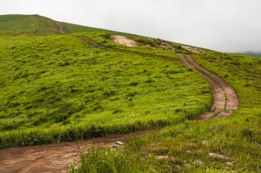 Kıvrımlı toprak yolu olan bir tepenin üstünde bulutlu bir havada yaz manzarası..