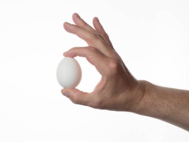 Bir adamın eli, parmaklarında beyaz bir yumurta tutar. Beyaz arka plan. Yakın plan..