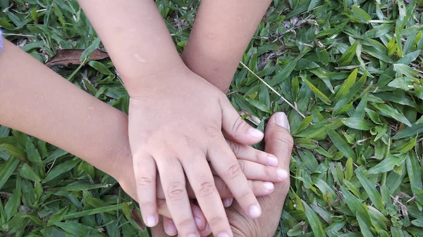 Hands Adults Children Held Together Grass — Stock Photo, Image