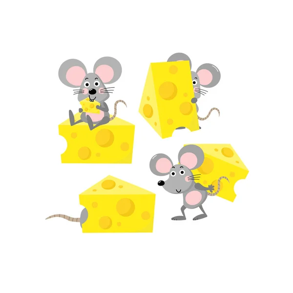 Şirin fare ve peynir vektör seti. Yiyeceği olan küçük sıçan. Hayvan Vahşi Yaşam çizgi film karakteri.
