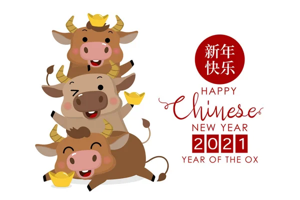 Mutlu Çin yılbaşı tebrik kartları. 2021, öküz yılı. Üç tatlı boğa, erkek inek ve altın para. Hayvan bayramı çizgi film karakteri. Çevirisi: Mutlu yıllar. - Vektör