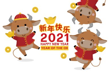 Mutlu Çin yılbaşı tebrik kartları. 2021 Ox Zodyak. Kırmızı kostümlü şirin inek ve altın para. Hayvan bayramı çizgi film karakteri. Çevirisi: Mutlu yıllar. - Vektör