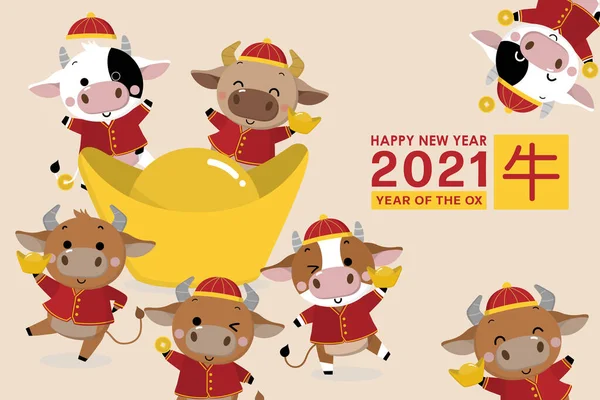 Mutlu Çin yılbaşı tebrik kartları. 2021 Ox Zodyak. Kırmızı kostümlü şirin inek ve altın para. Hayvan bayramı çizgi film karakteri. Çevirisi: Mutlu yıllar. - Vektör