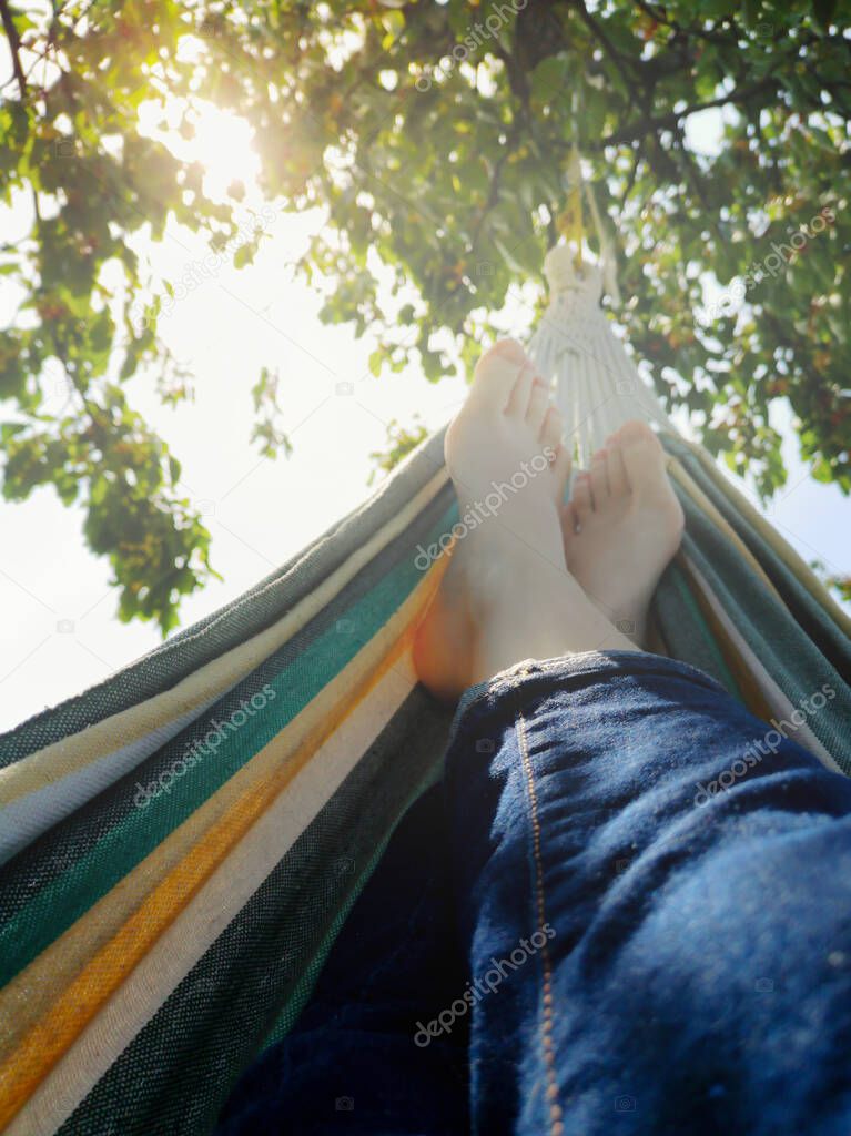 Women's bare feet in a hammock in the sun on the background of a tree with cherries.A person is resting in the garden after harvesting or long work.Small depth of field.the concept of our life offline