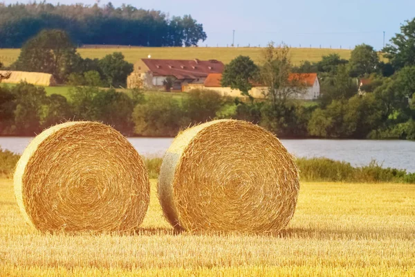 Naturalne Tło Dwie Okrągłe Bele Siana Polu Koszenia Tle Europejskiej — Zdjęcie stockowe