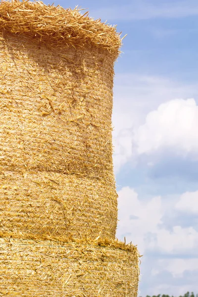 Fondo Agrícola Natural Las Balas Redondas Heno Apilan Una Fila — Foto de Stock