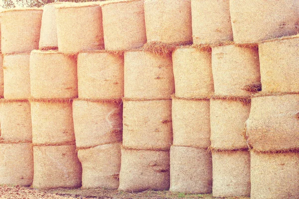 Fondo Agrícola Natural Las Balas Redondas Heno Apilan Fila Aire — Foto de Stock