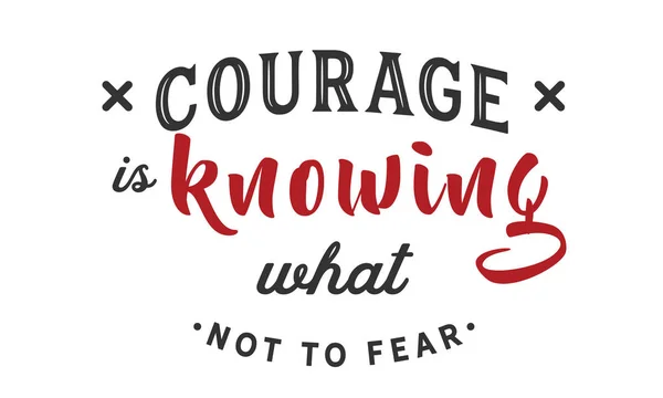 Keberanian Adalah Mengetahui Apa Yang Tidak Perlu Takut - Stok Vektor