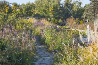 Sunset park, bitkiler ve çiçekler ile resmi Bahçe