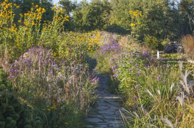 Sunset park, bitkiler ve çiçekler ile resmi Bahçe
