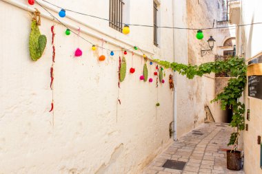 Polignano 'nun tarihi merkezi bir kısrak, bir Puglia köyü. Yaz tatili için çok güzel bir yer.