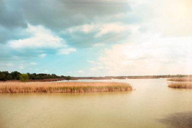 Gün batımında panoramik bir İtalyan bataklığı manzarası. Sarı ve turuncu çimenler, bir ahşap ve arka planda kırmızı bir ev. Gökyüzündeki bulutlar