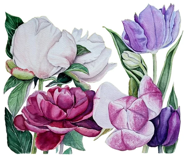 Ilustração botânica aquarela de flores de primavera: tulipas, peônias, magnólia em um fundo branco isolado , — Fotografia de Stock