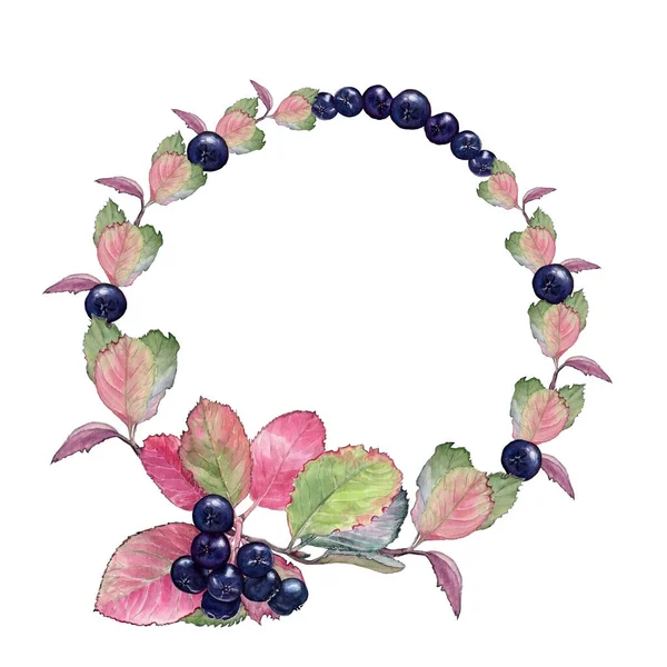 Renkli yapraklı koyu mavi boğaz üzümlü güzel sonbahar çelenklerinin suluboya çizimi beyaz izole arka planda inanılmaz bir tasarım için