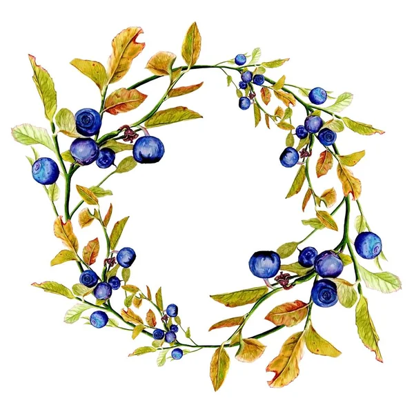 Ilustração aquarela de bela grinalda de outono com bagas azuis e huckleberry com folhas coloridas para design em fundo isolado branco — Fotografia de Stock