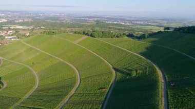Yaz Almanya'da Remstal vadide bağ havadan görünümü