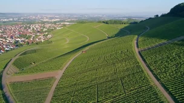 Letecký Pohled Vinice Údolí Remstal Německu Létě — Stock video