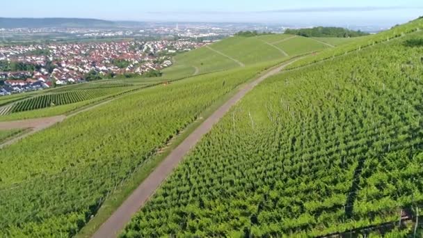 夏にドイツの Remstal の谷のブドウ畑の空撮 — ストック動画