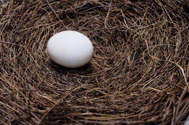 Yuvadaki bir yumurtayı kapat.