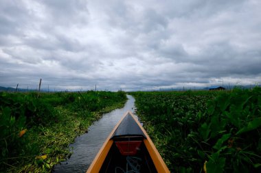 Myanmar 'daki Inle Gölü' nde tekneyle gezintiye çıkan ilk kişi. Yüzen yeşil bitkiler arasındaki su yolu. Bulutlu gökyüzü