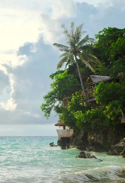 Árbol Coco Verde Cabaña Troncos Acantilado Sobre Océano Verde Magnífico — Foto de Stock