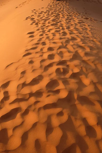 Långsträckta Fotspår Vilda Bruna Saharaöknen Vid Solnedgången Sahara Nära Merzouga — Stockfoto