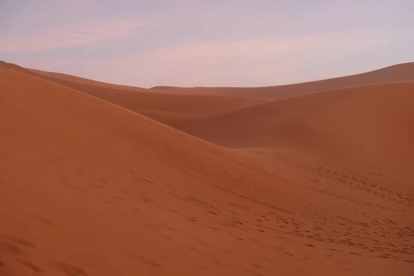 日没時に足跡を持つ茶色のサハラ砂漠の砂丘斜面 ピンクの雲の空の背景 サハラ モロッコのメルズーガ近くの砂 — ストック写真