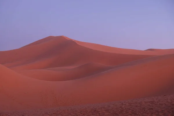 Wild Brown Sahara Desert Sand Dunes Sunset Purple Blue Sky — Stock Photo, Image