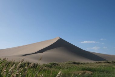 Kum tepeleri ve yeşil sazlıklar güneşli mavi gökyüzünün altında. Dunhuang 'da, Gansu vilayetinde, Çin
