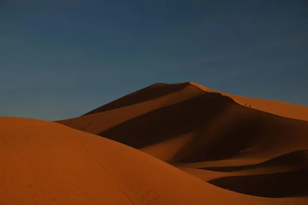 Sahara Brun Pente Désert Coucher Soleil Ciel Bleu Profond Près — Photo