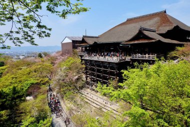Kyoto / japan-Temmuz 2016: Kiyomizu Tapınağı ilkbaharda güneşli mavi gökyüzünde genç yumuşak yeşil ağaçlarla çevrilidir. Yoldaki turist. Yukarıdan bak. Kyoto 'daki en eski tapınak. Dünya kültür mirası.