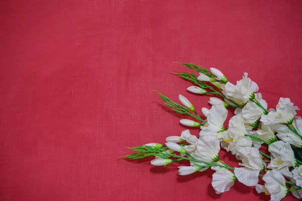Kırmızı arkaplanda beyaz çiçekler, mesaj için boş alan, romantik randevu daveti tatlı dilek kavramı 