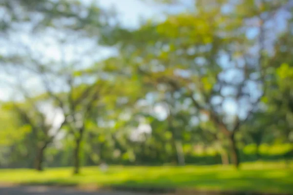 Soyut doğal arkaplan için bulanık yaprak ve ağaçlar 