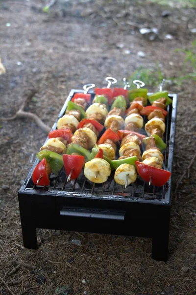 Doğada barbekü, tavuk şişleri.