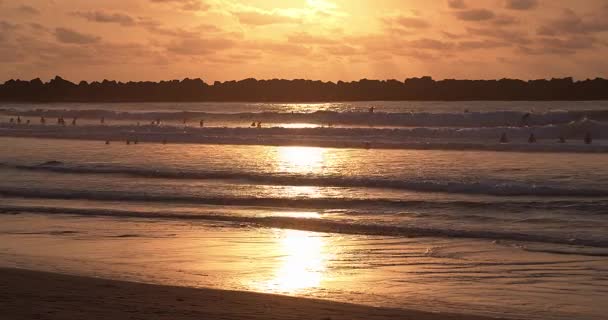 ビーチで赤と美しい夕日 背景にサーファー — ストック動画