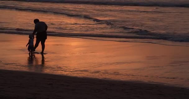 母亲和儿子在美丽的日落下沿着海滨散步 — 图库视频影像