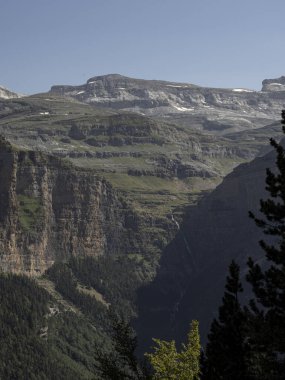Arka planda dağlar olan ağacın ön planı, dikey fotoğraf