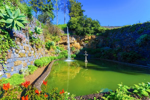 Hermoso Estanque Natural Rodeado Flores Jardín Botánico Isla Madeira Portugal — Foto de Stock