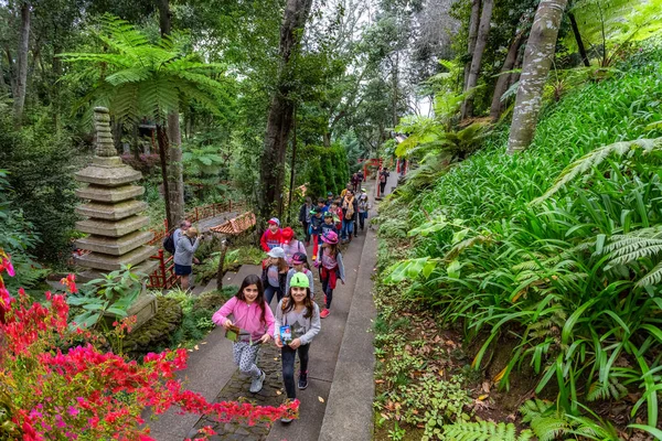 Madeira Portugal Marzo 2018 Grupo Niños Visitando Jardín Tropical Isla — Foto de Stock