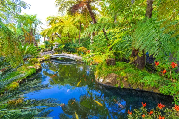 Japonská Tropická Zahrada Rybami Jezeře Venku Ostrově Madeira Portugalsku — Stock fotografie