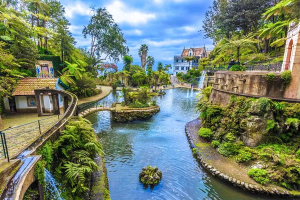 Vista Panorámica Del Jardín Tropical Temporada Verano Isla Madeira Portugal — Foto de Stock